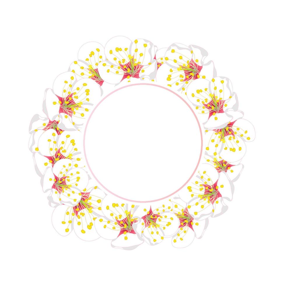 White Plum Blossom Flower Banner Wreath vector