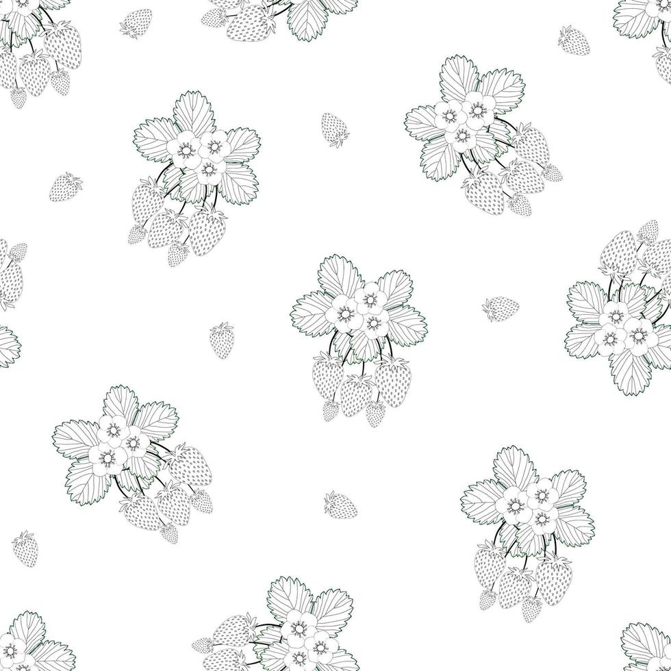 Strawberry and Flower Outline Seamless on White Background vector