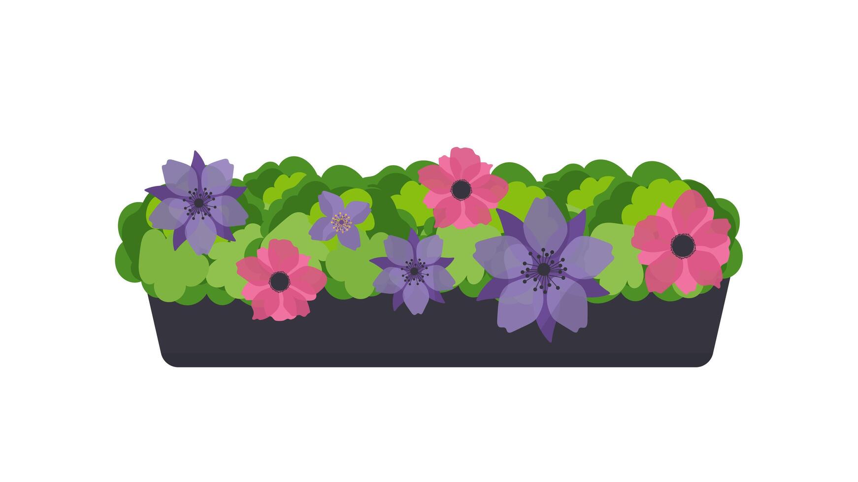 Long pot of flowers isolated on white background. Flower bed for the window. Vector. vector