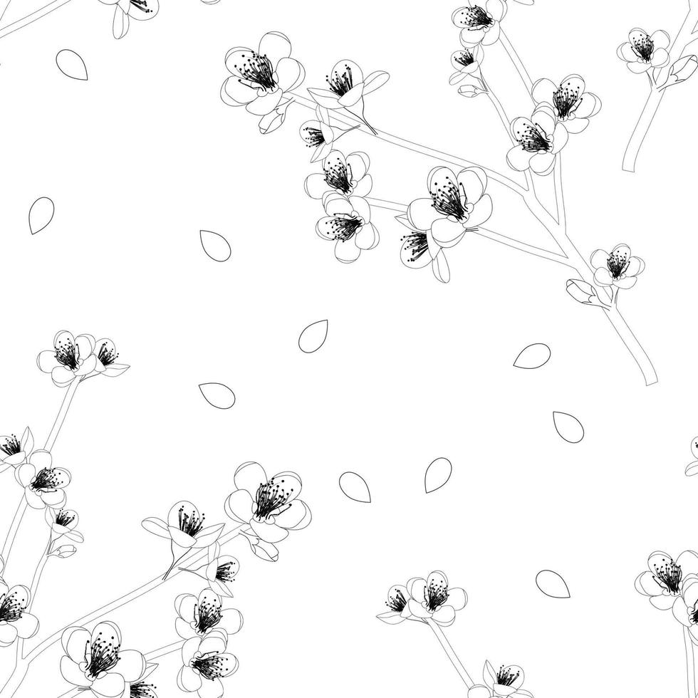 momo flor de durazno sobre fondo blanco vector