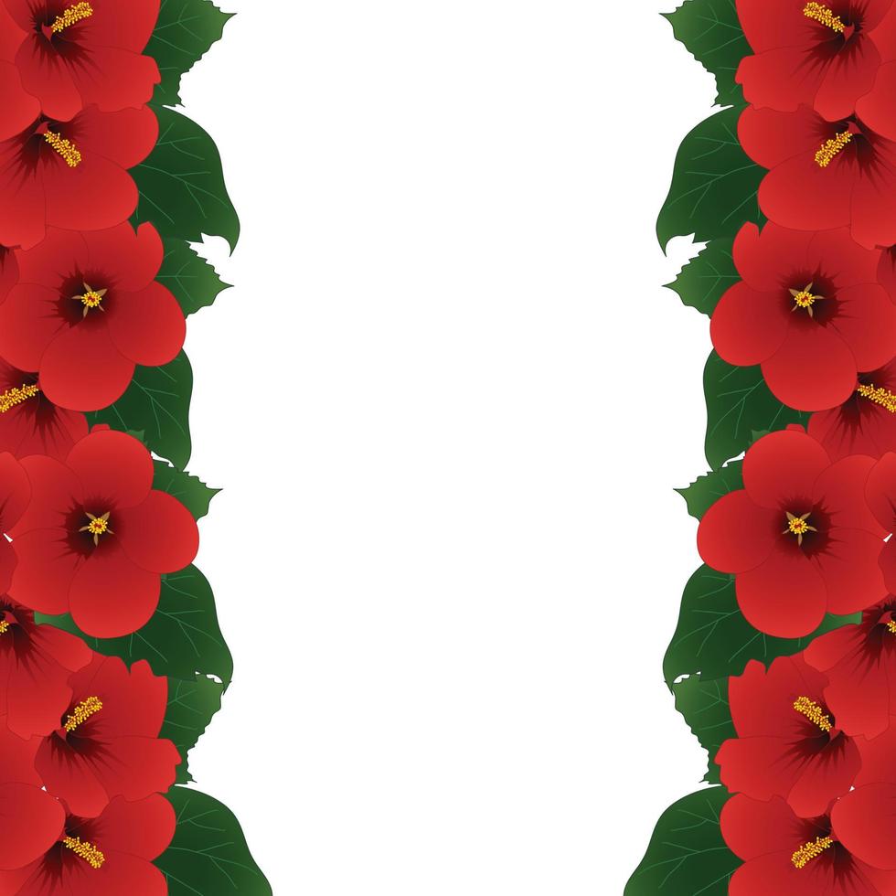 Red Hibiscus Flower - Rose of Sharon Border vector