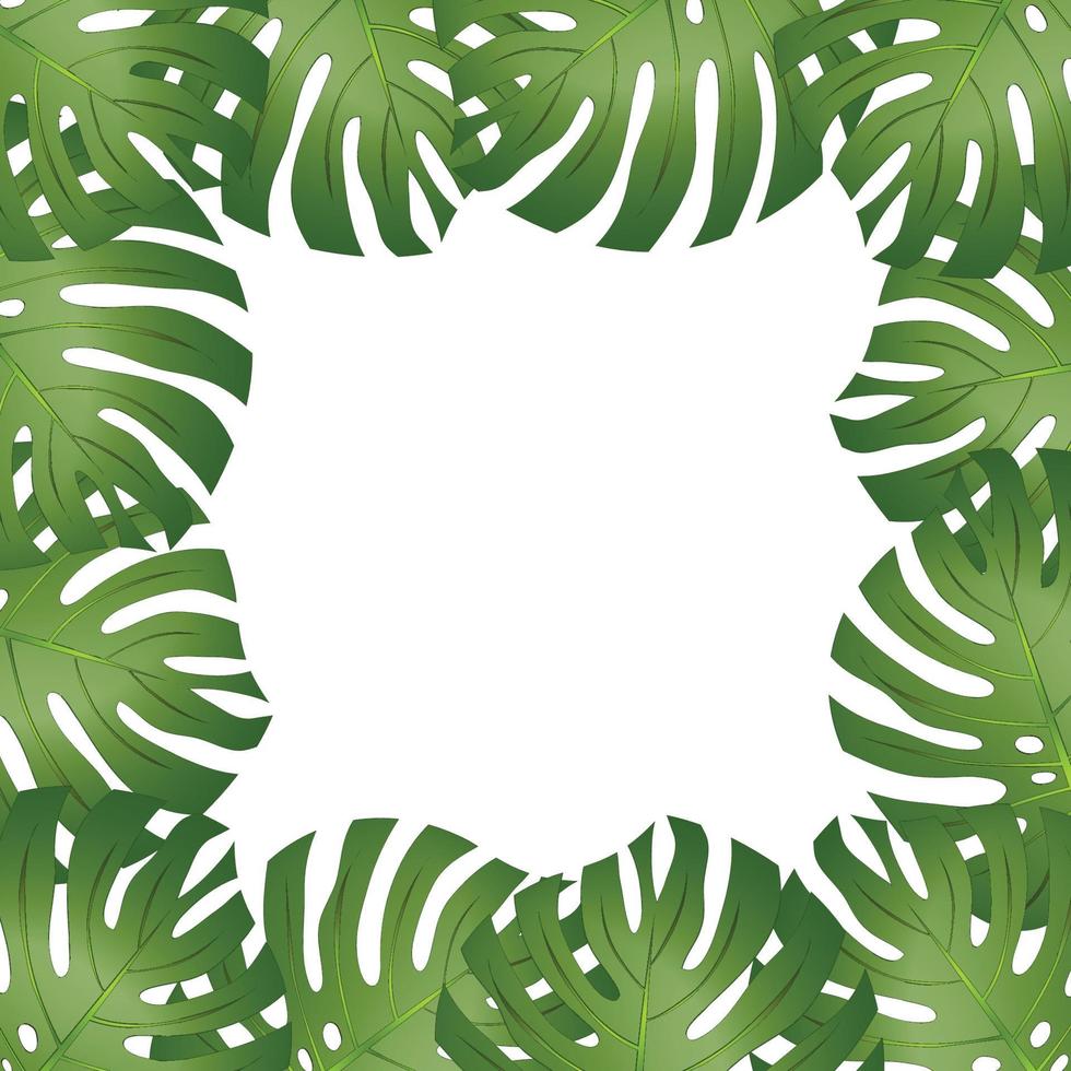 Philodendron Monstera Leaf Border vector