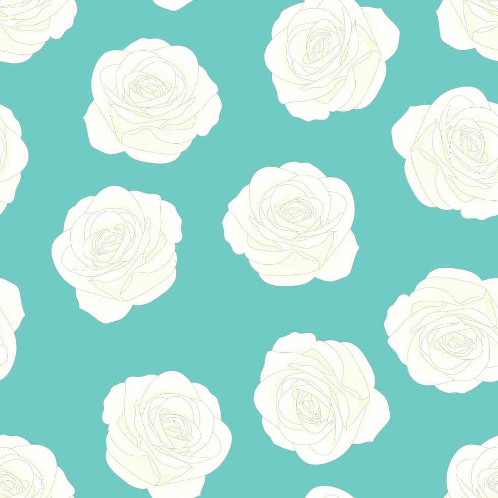 White Rose - Rosa on Blue Mint Background. vector