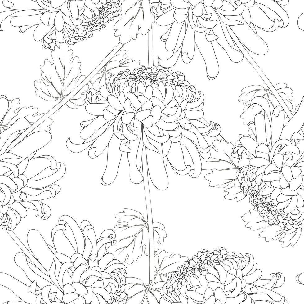 Chrysanthemum Outline Flower Seamless on White Background vector