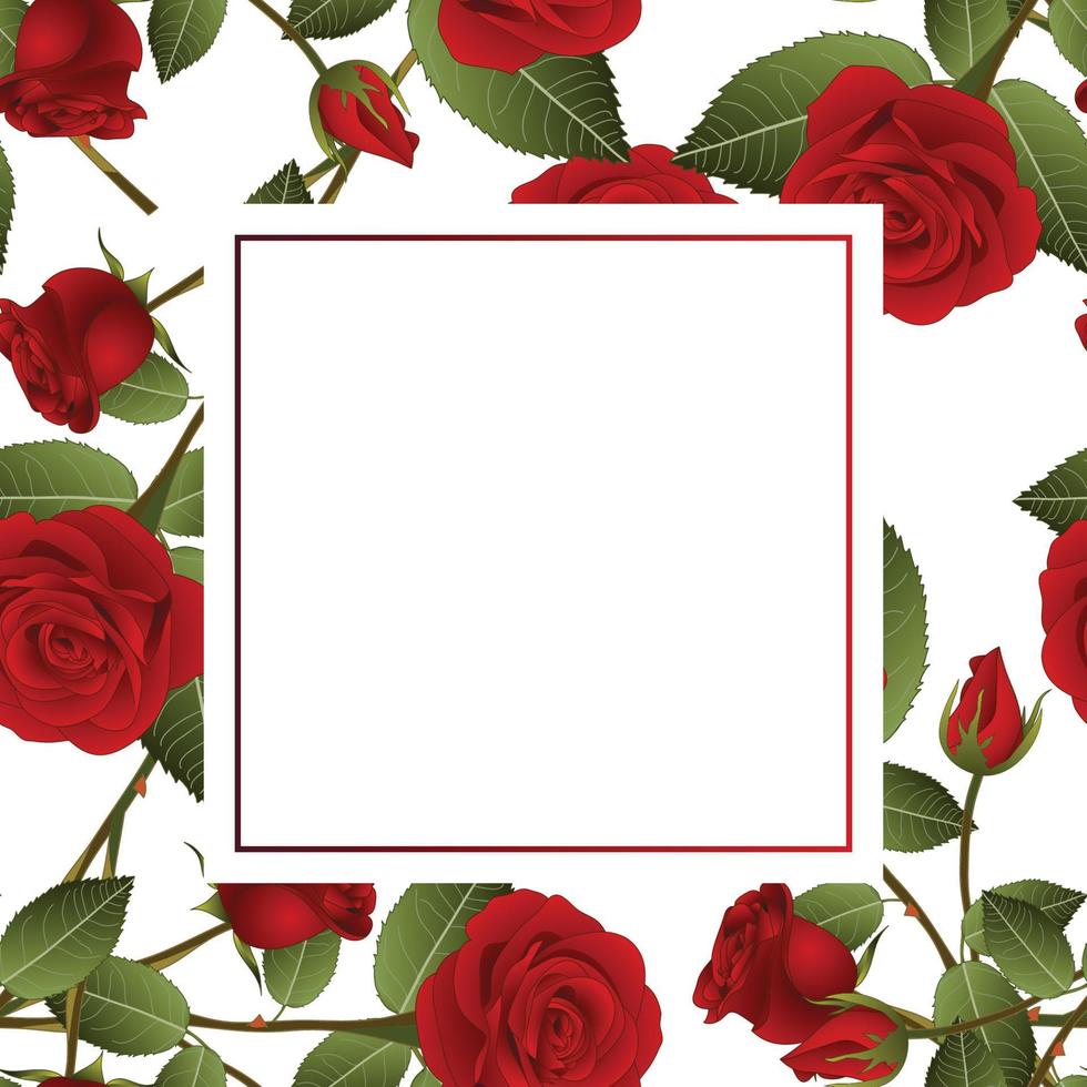 Red Rose on White Banner Card vector