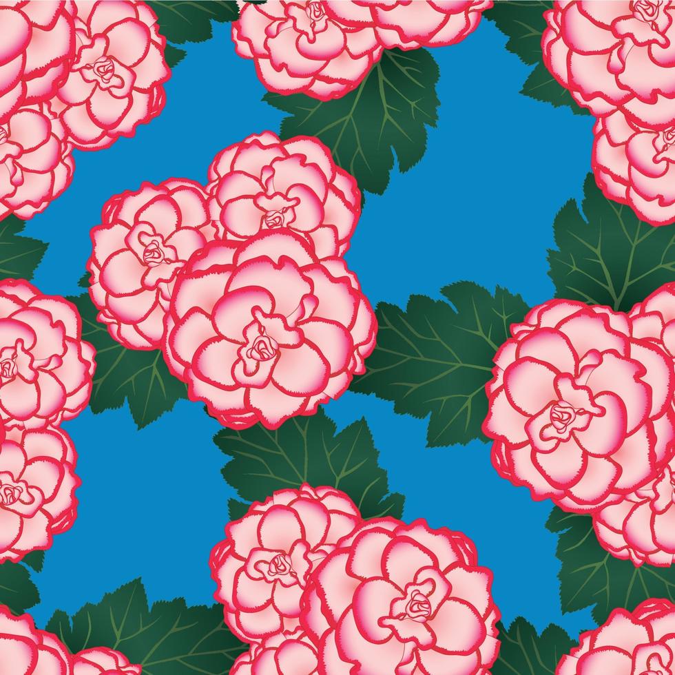 Pink Begonia Flower, Picotee First Love on Blue Background vector