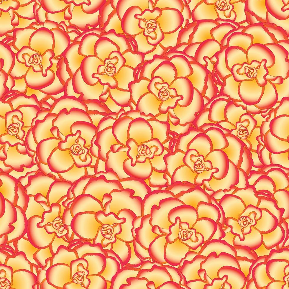 Begonia Flower, Picotee Sunburst Seamless Background vector