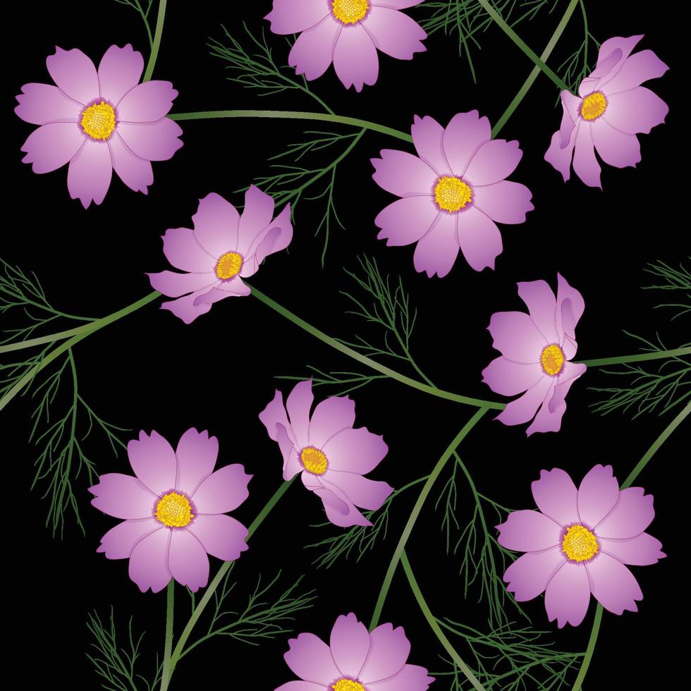 Pink Cosmos Flower on Black Background vector