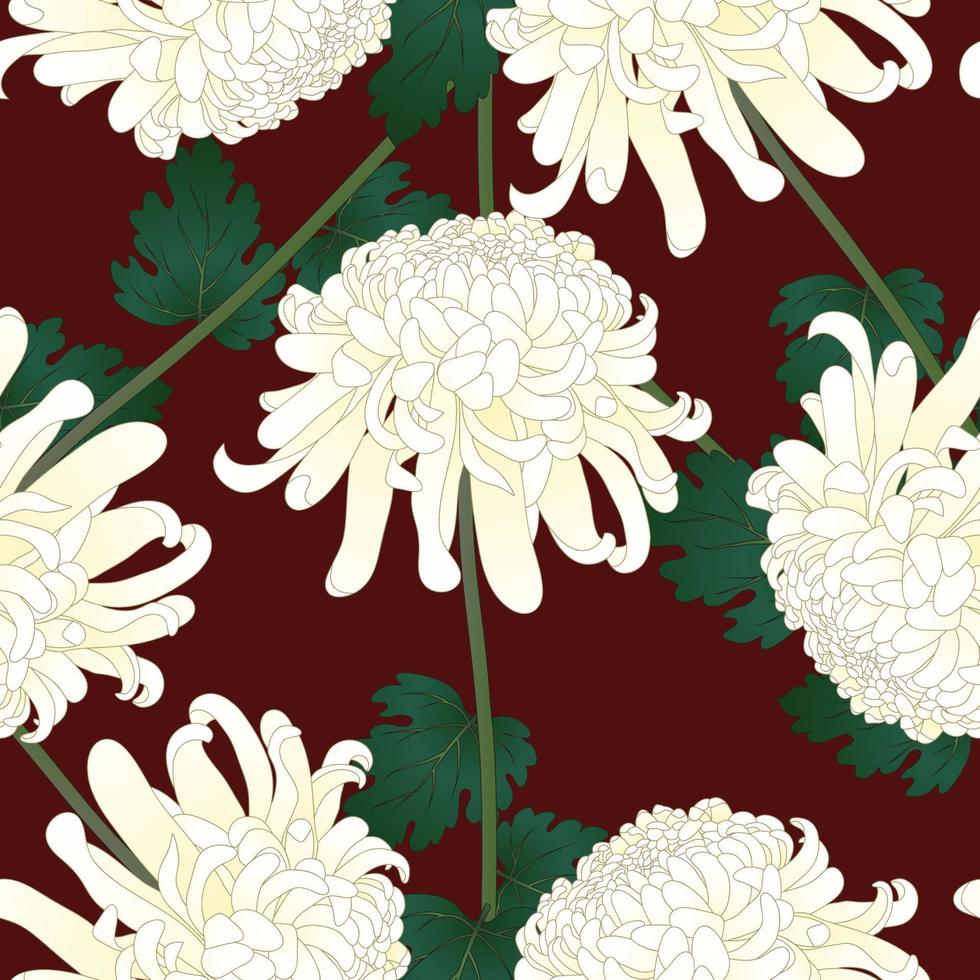 White Chrysanthemum Flower on Red Background vector