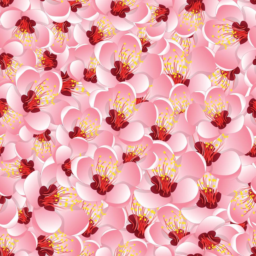 Momo Peach Flower Blossom Seamless Background vector