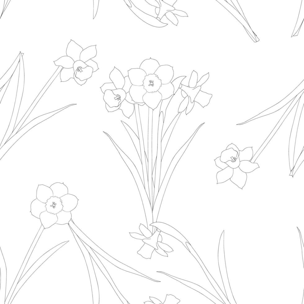 Daffodil - Narcissus on White Background vector