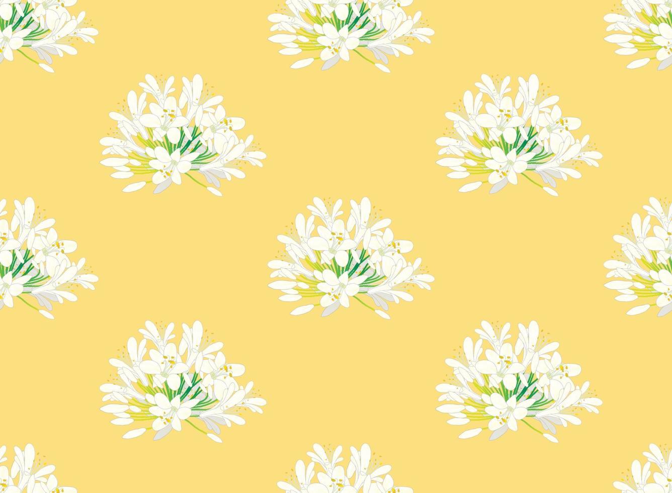 Snow White Agapanthus on Yellow Background. Vector Illustration