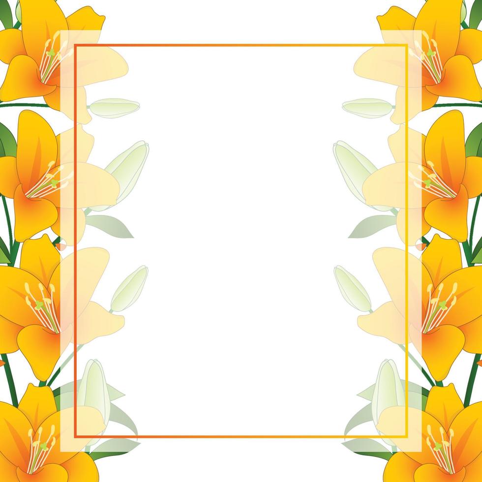 borde de tarjeta de banner de lirio naranja sobre fondo blanco vector