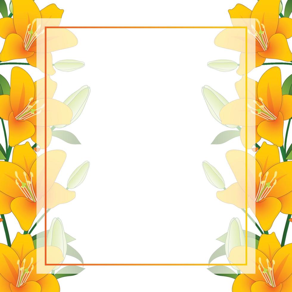 Orange Lily Banner Card Border on White Background vector