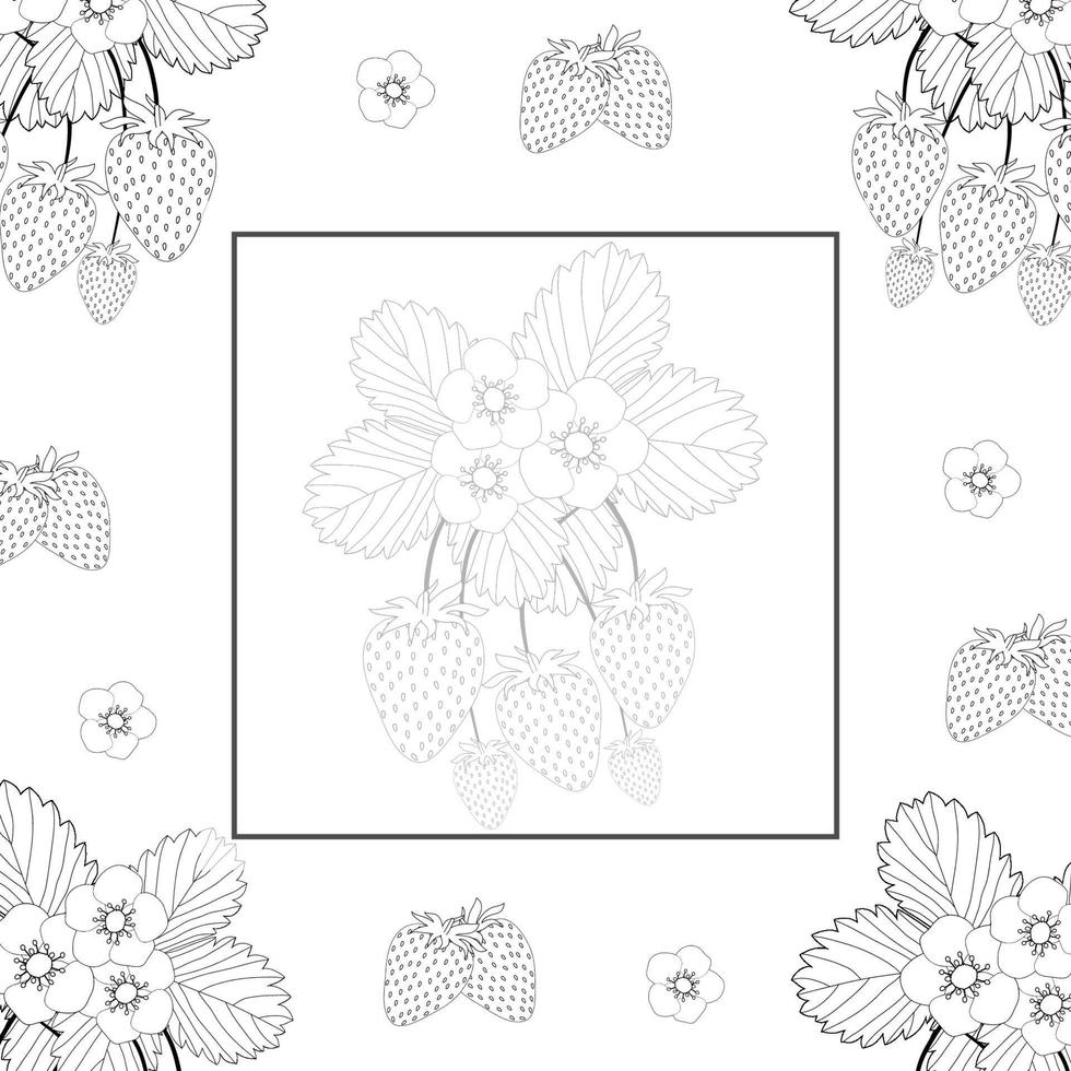 banner de contorno de fresa y flor sobre fondo blanco vector
