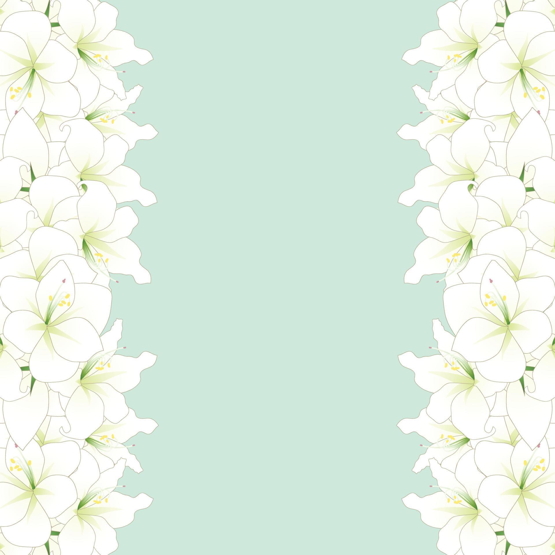 White Amaryllis Border - Hippeastrum. Christmas Flower. 5121015 Vector ...