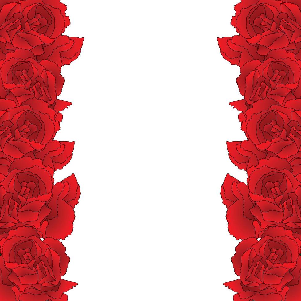 Red Carnation Flower Border, Dianthus caryophyllus vector