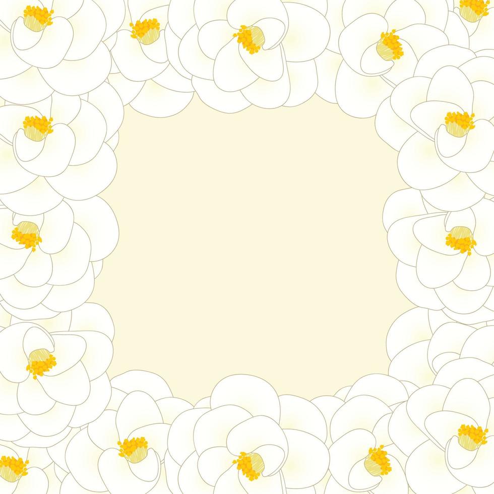 flor de camelia blanca border2 vector