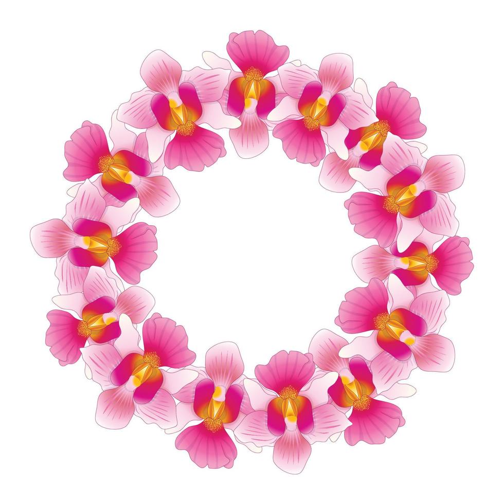 corona rosa de orquídeas vanda miss joaquim vector