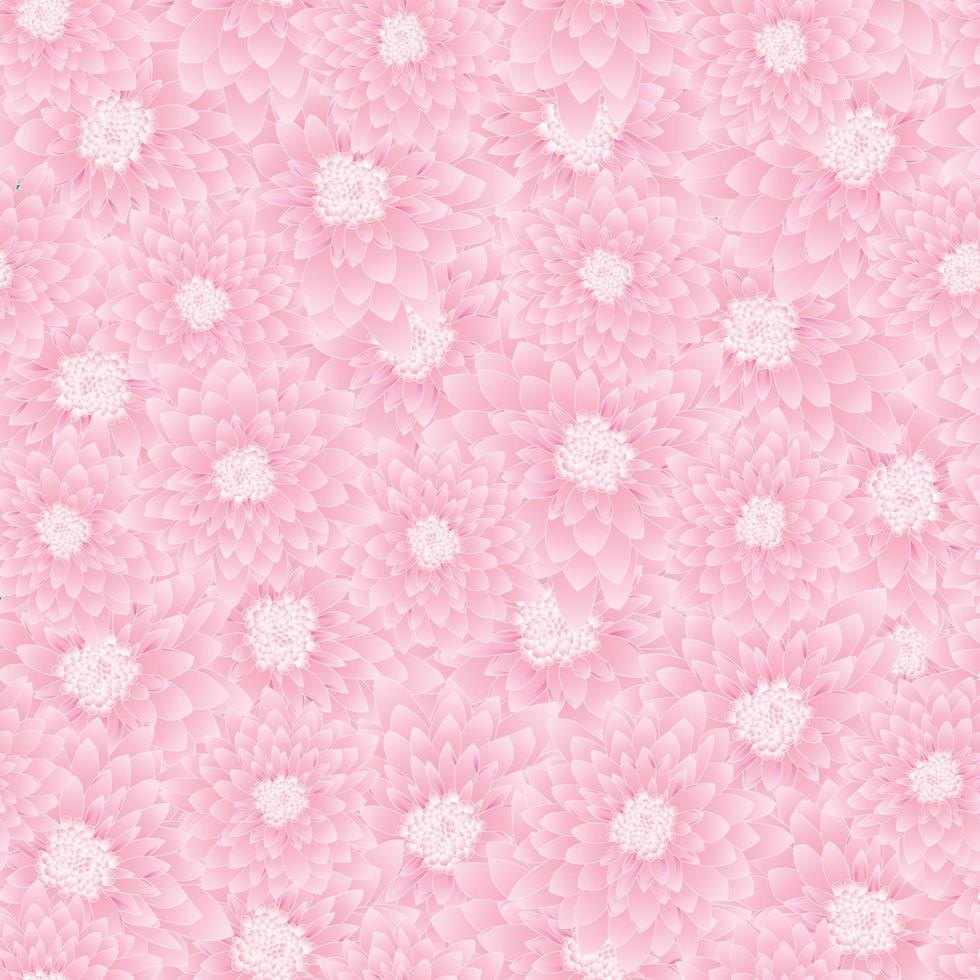 Fondo transparente de crisantemo rosa vector