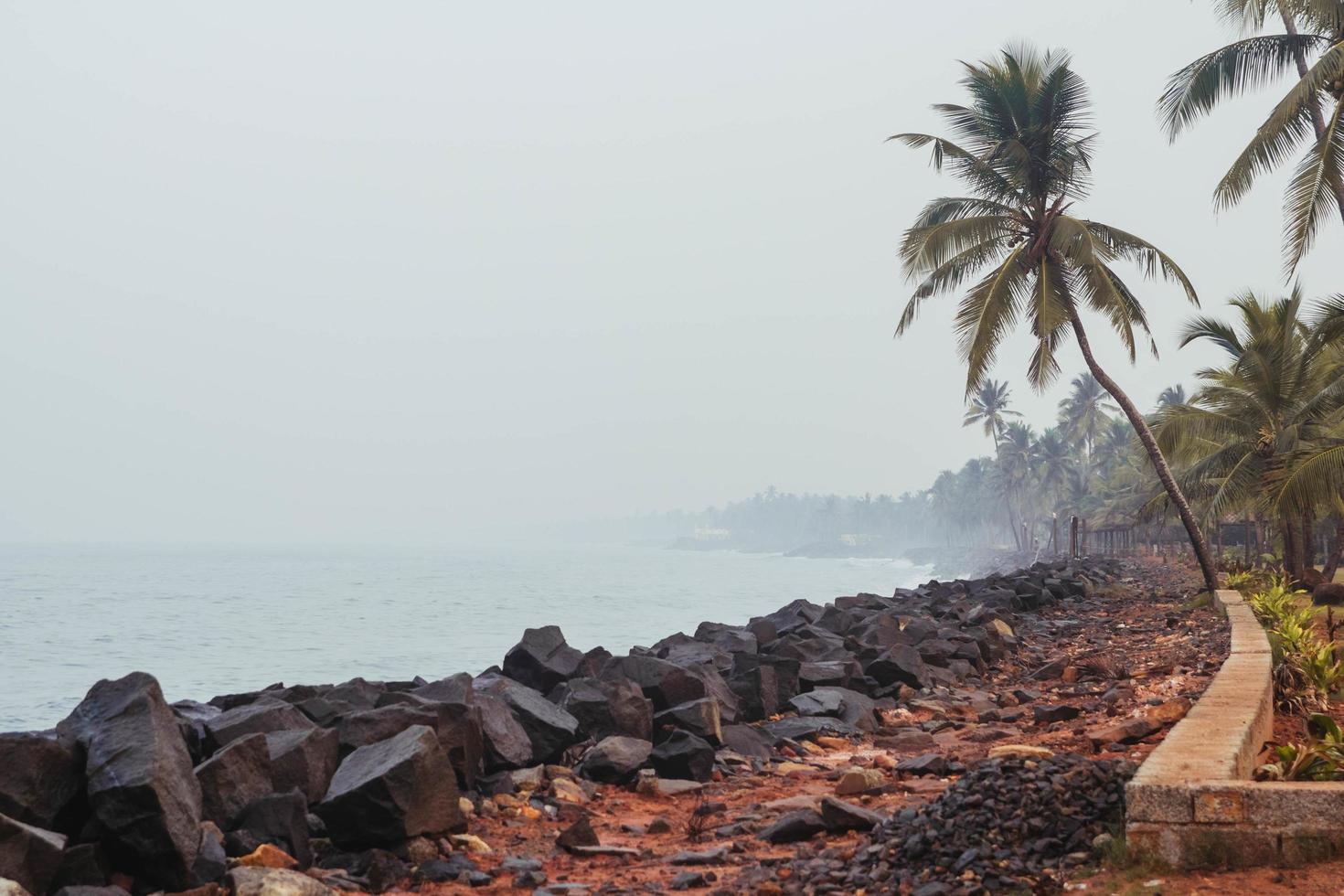 Stone sea promenade with palm trees. Copy, empty space for text photo