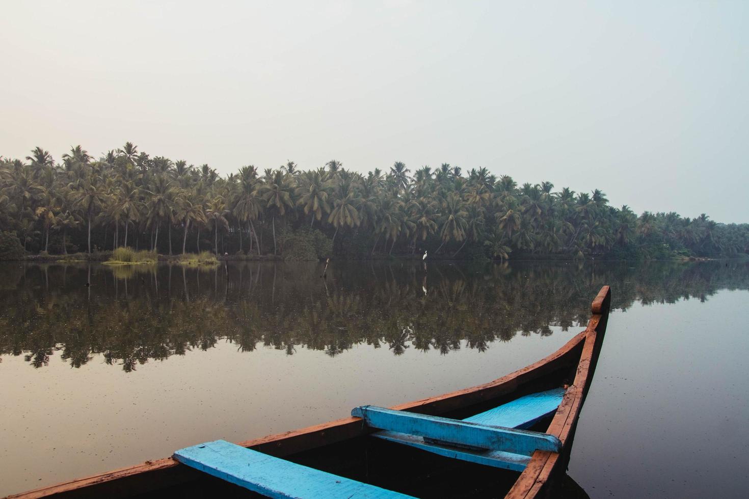 Wooden boat on the backwater canals on a background of tropical forest with palm trees. Copy, empty space for text photo