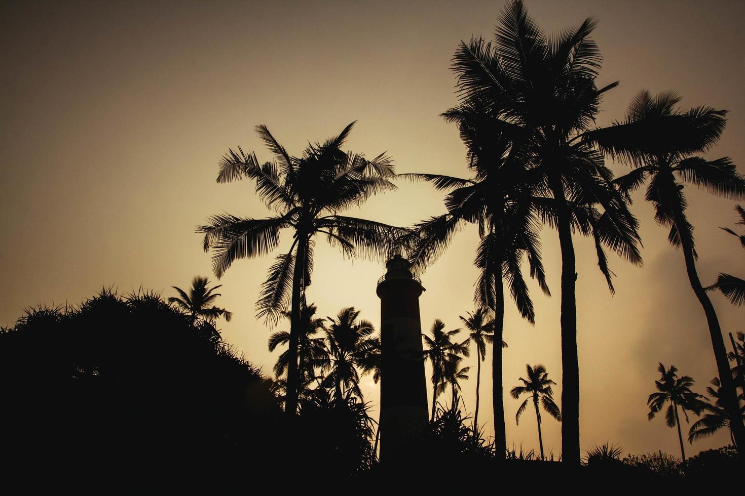 Silhouette of a lighthouse and palms trees in Kovalam, Kerala, India. Copy, empty space for text photo