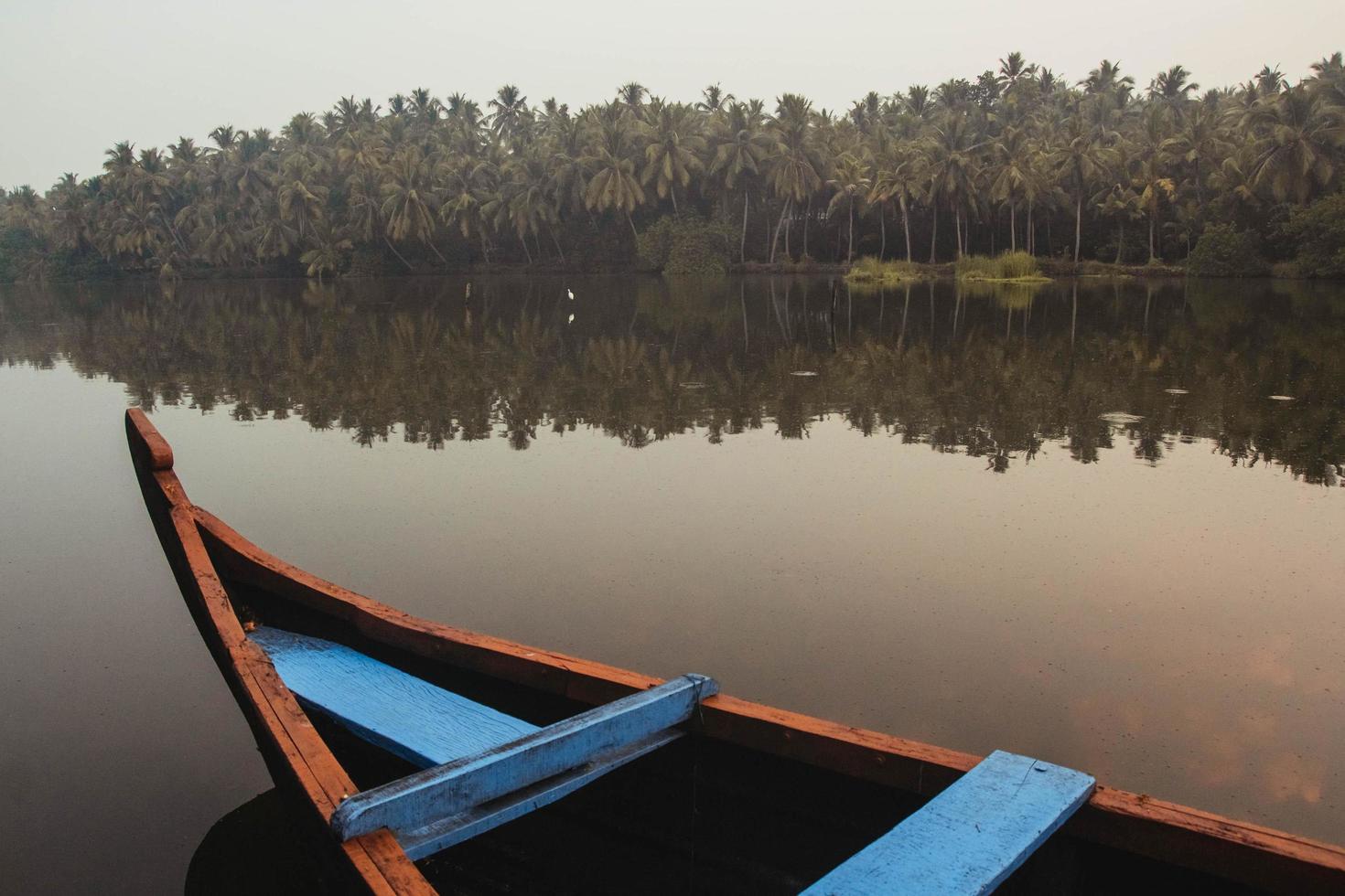 Wooden boat on the backwater canals on a background of tropical forest with palm trees. Copy, empty space for text photo