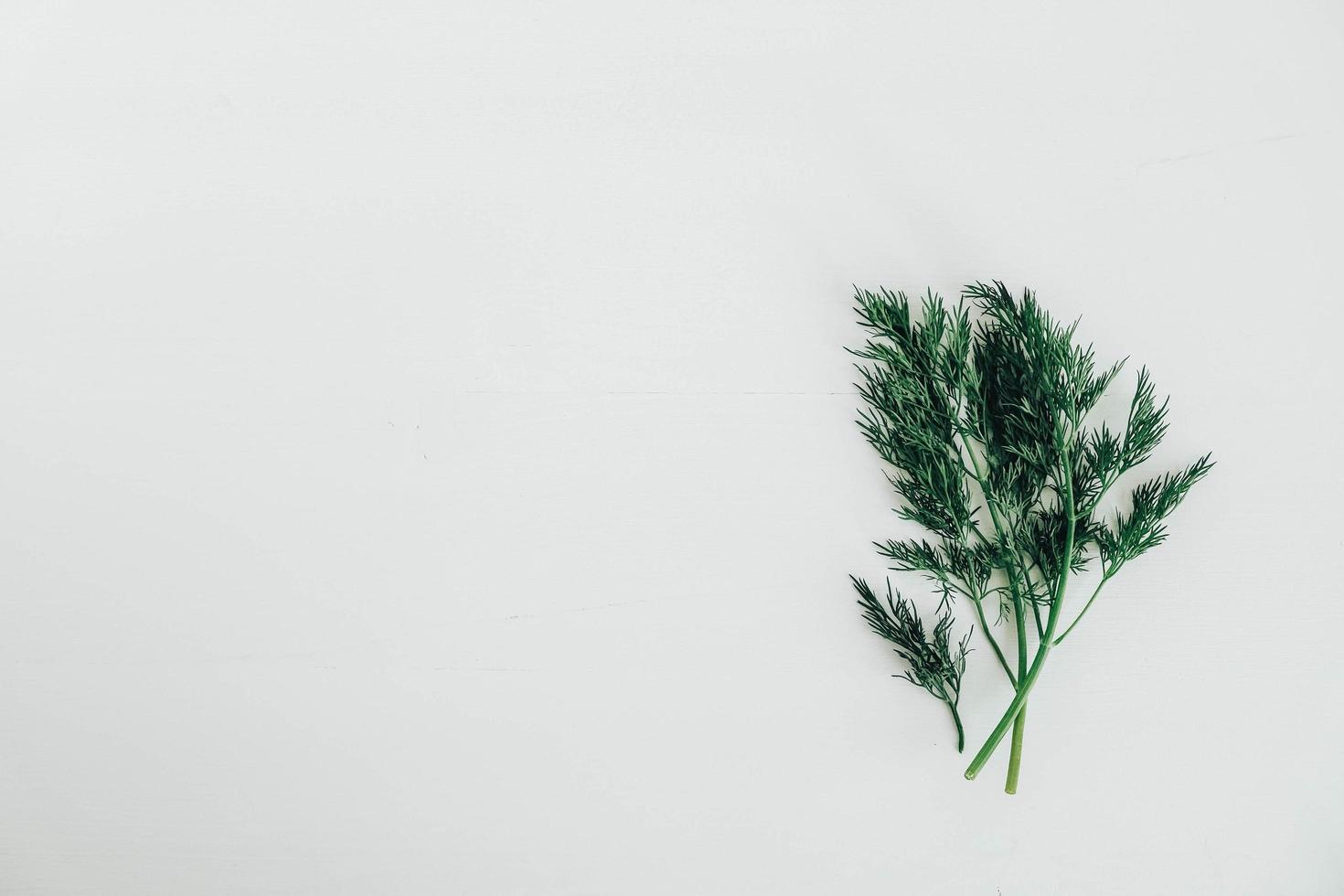 Fresh green dill on a white wooden background. Top view. Copy, empty space for text photo