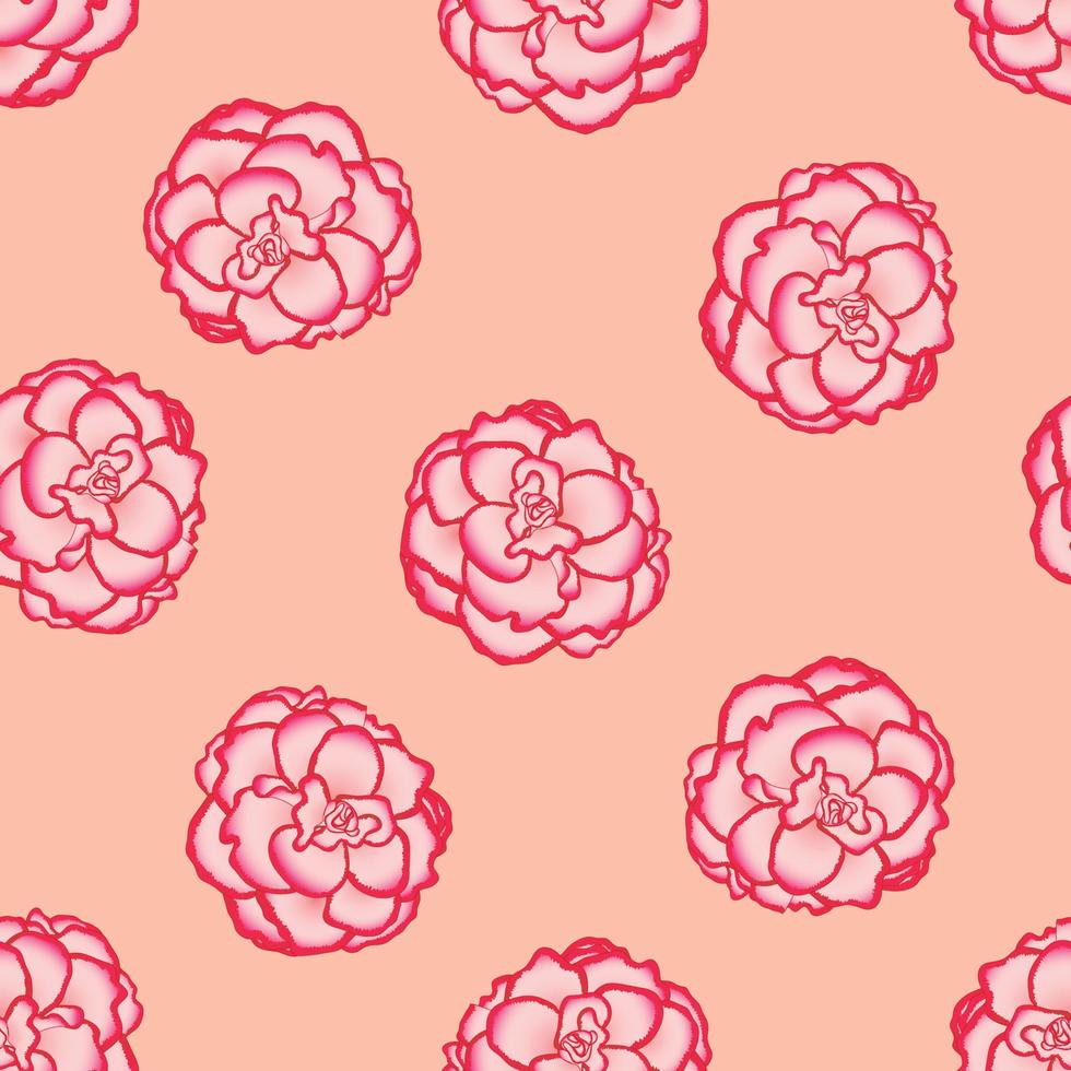 Pink Begonia Flower, Picotee First Love on Light Orange Background vector