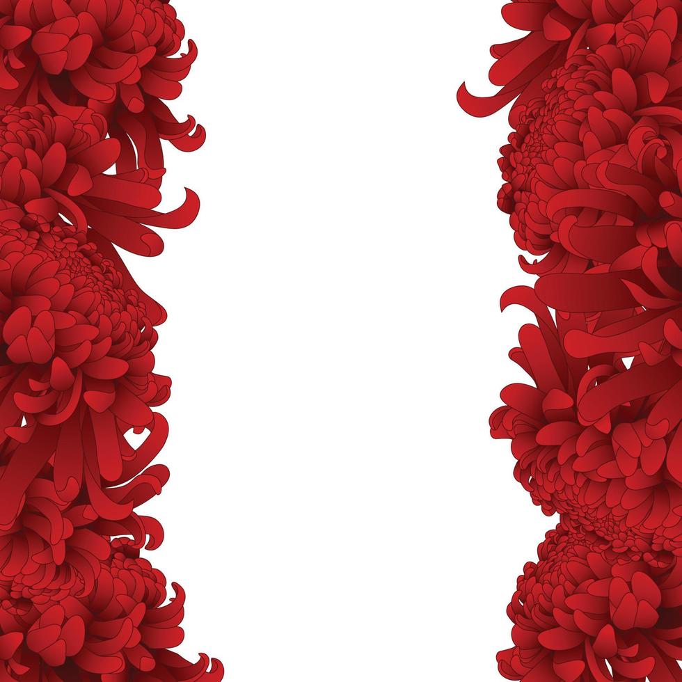 Red Chrysanthemum Flower Border. vector