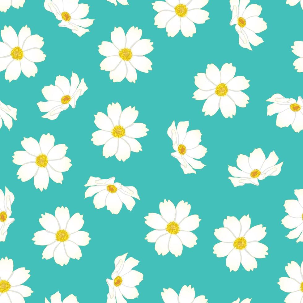 White Cosmos Flower on Blue Mint Background vector