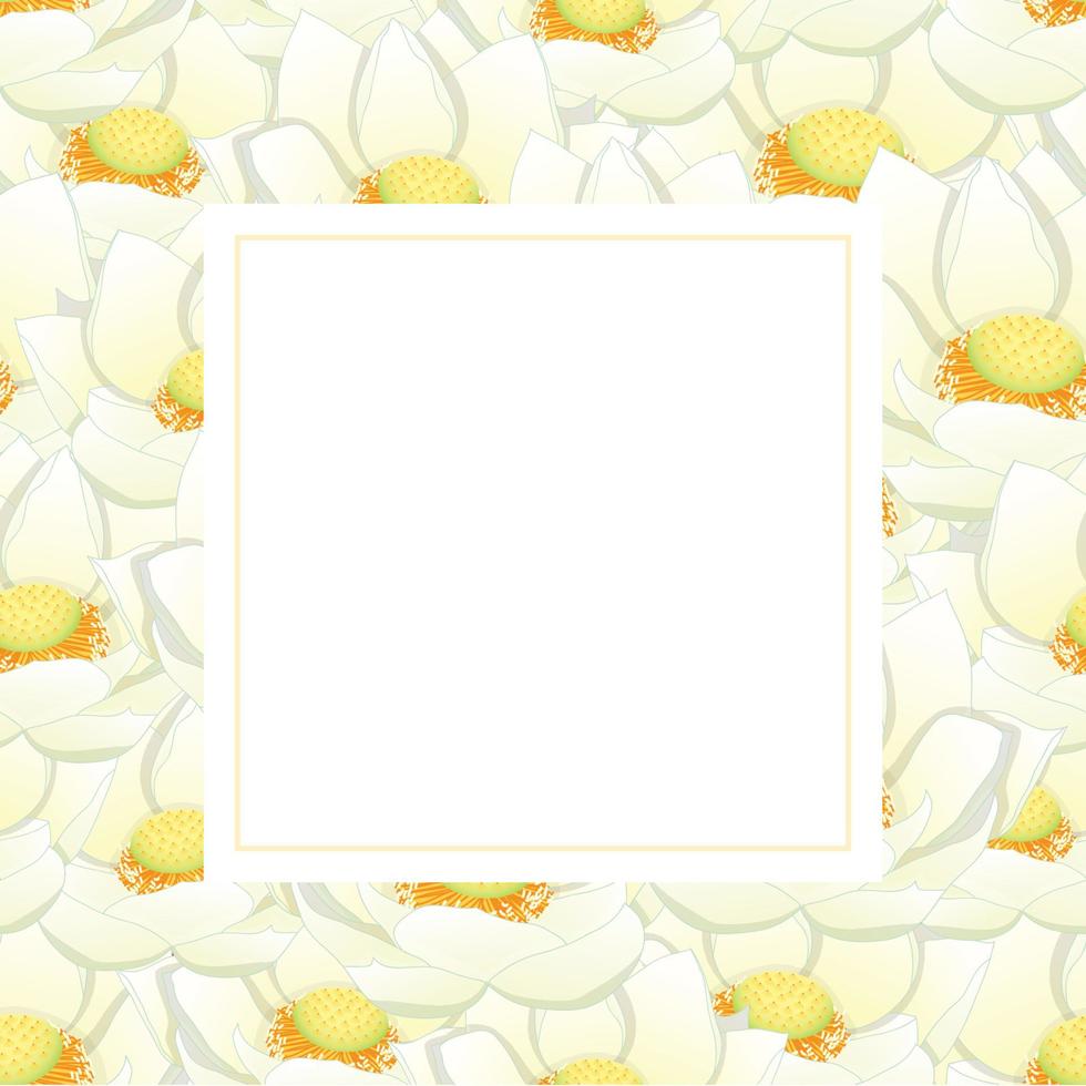 White Indian lotus Banner Card vector
