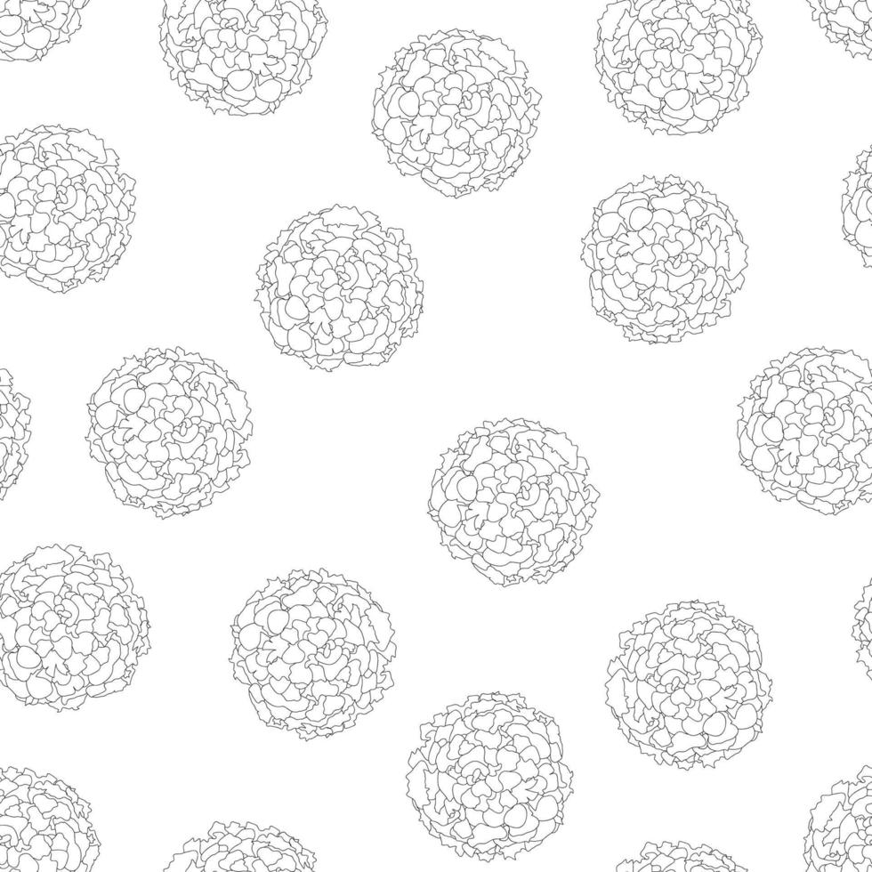 Marigold Outline on White Background vector