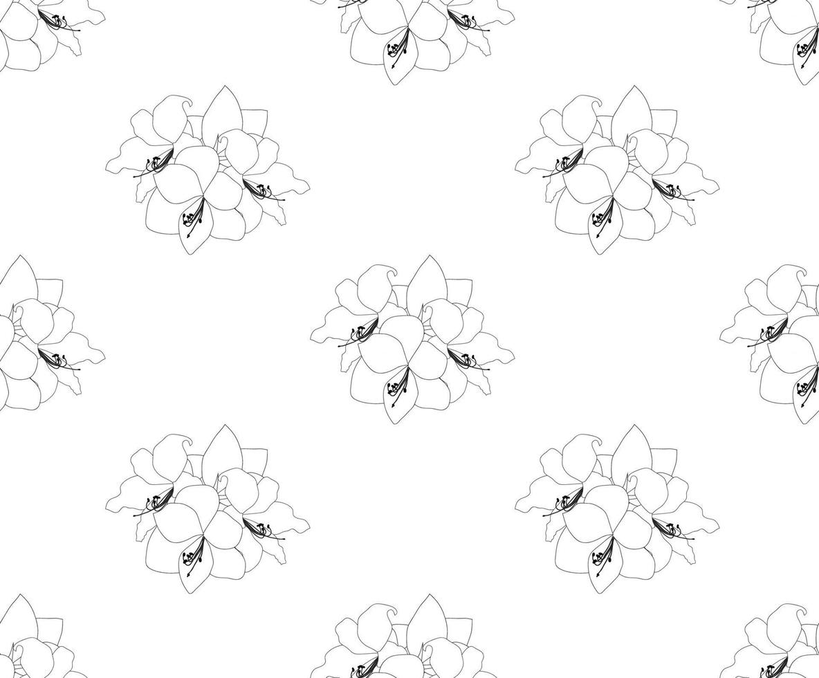 Amaryllis Seamless on White Background vector