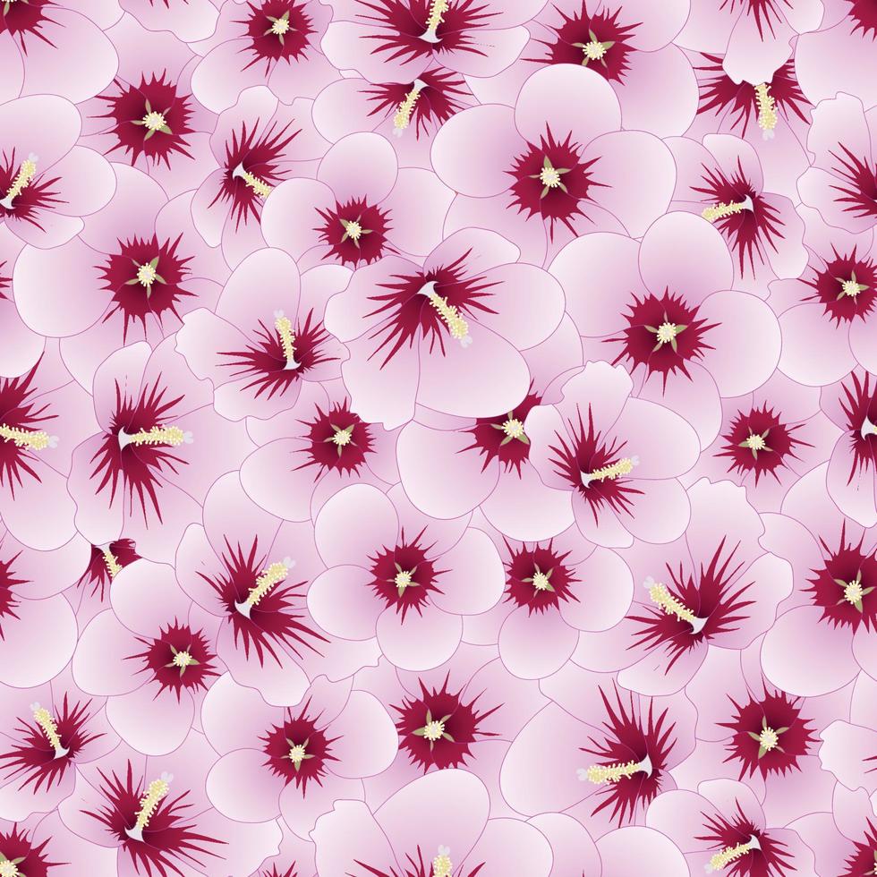 Hibiscus syriacus - Rose of Sharon Seamless Background. vector