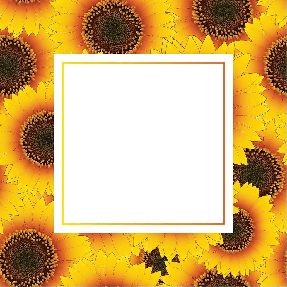 tarjeta de banner de girasol amarillo naranja vector