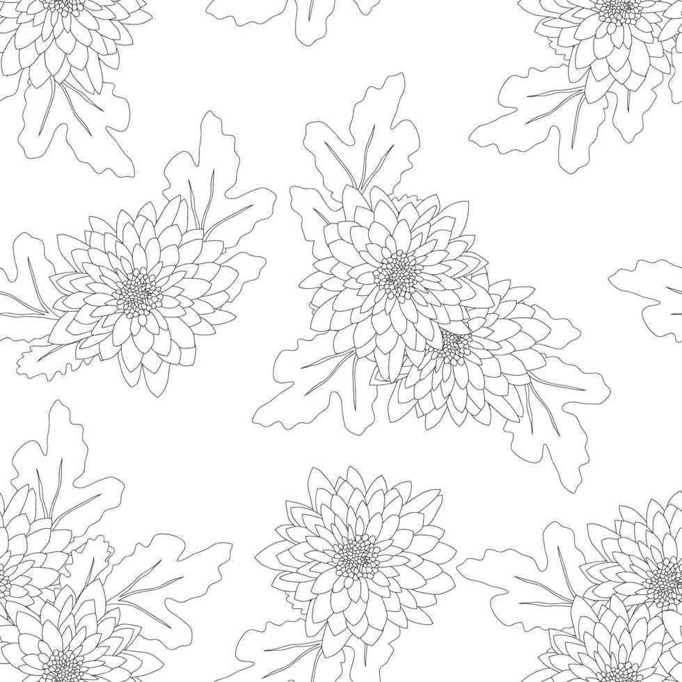 Chrysanthemum on White Background vector