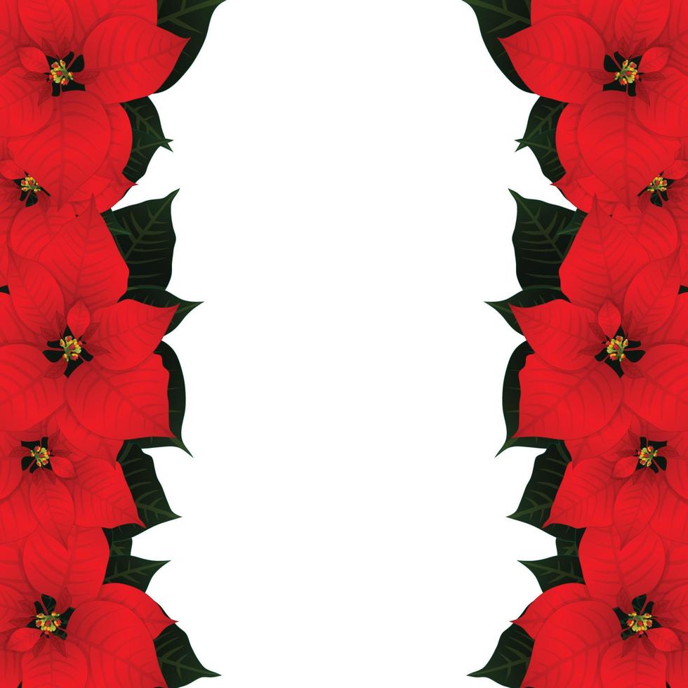 Red Poinsettia Border vector