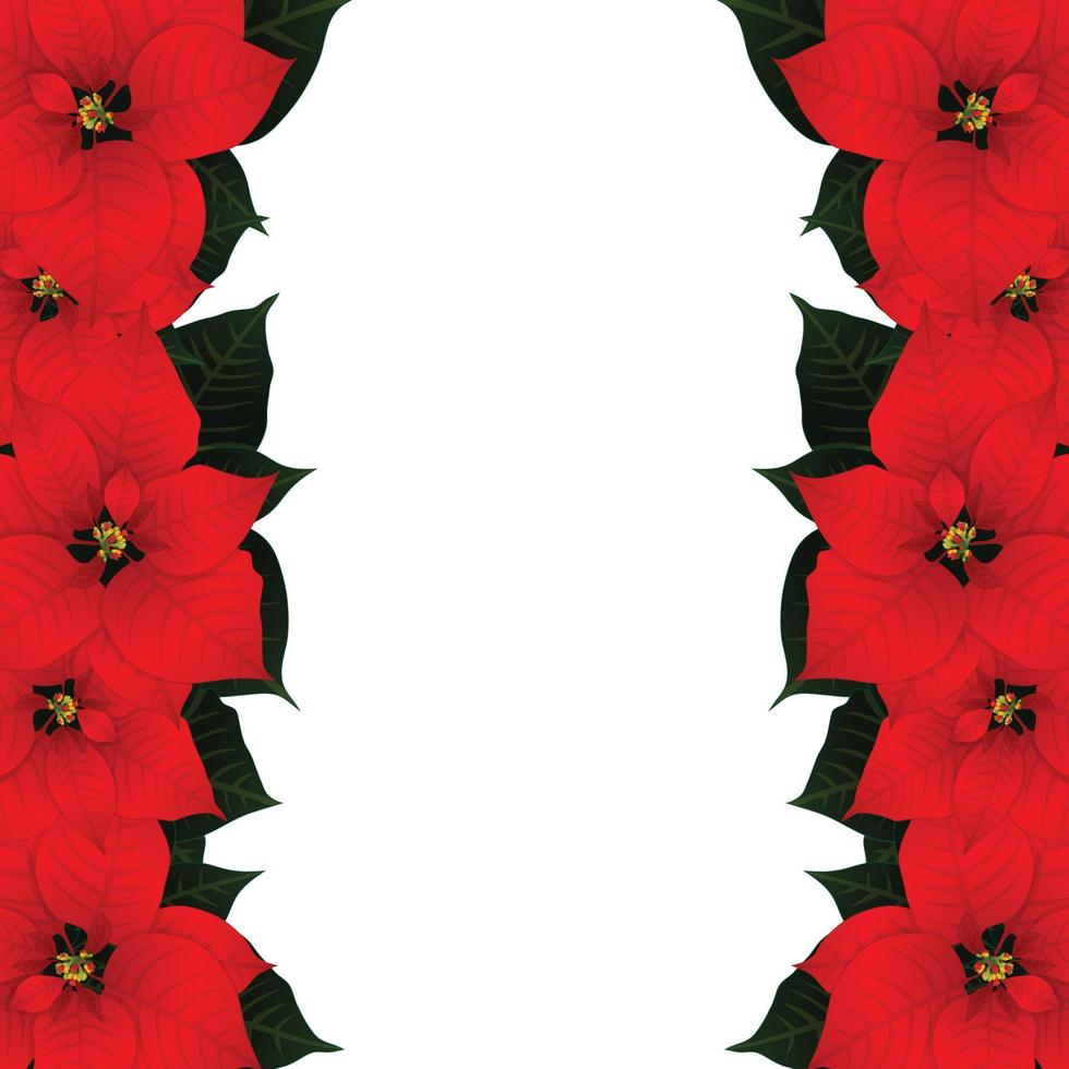 Red Poinsettia Border vector