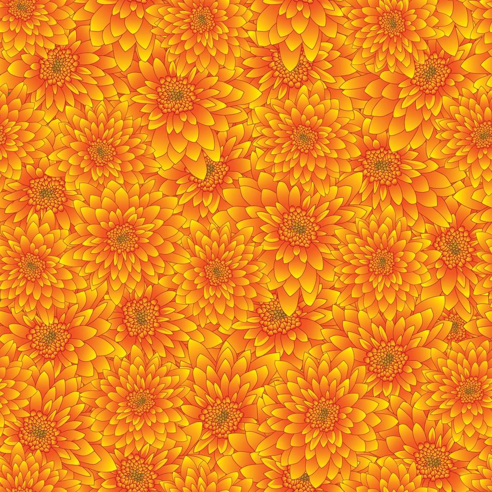 Yellow Chrysanthemum Seamless Background vector