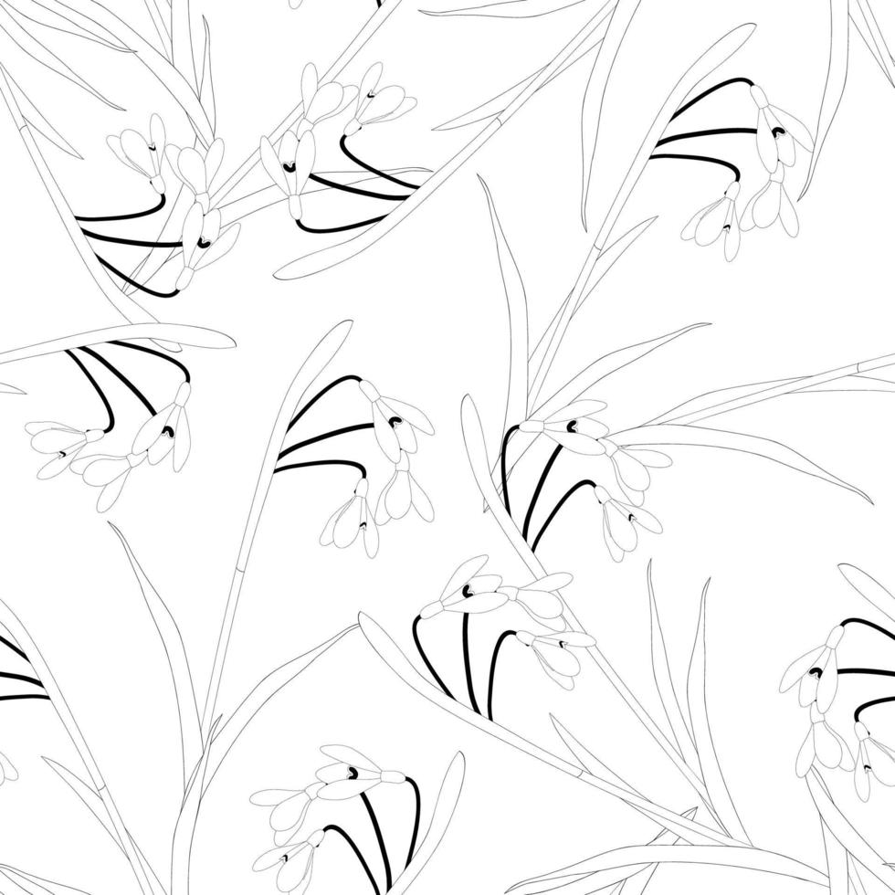 Snowdrop Flower on White Background vector