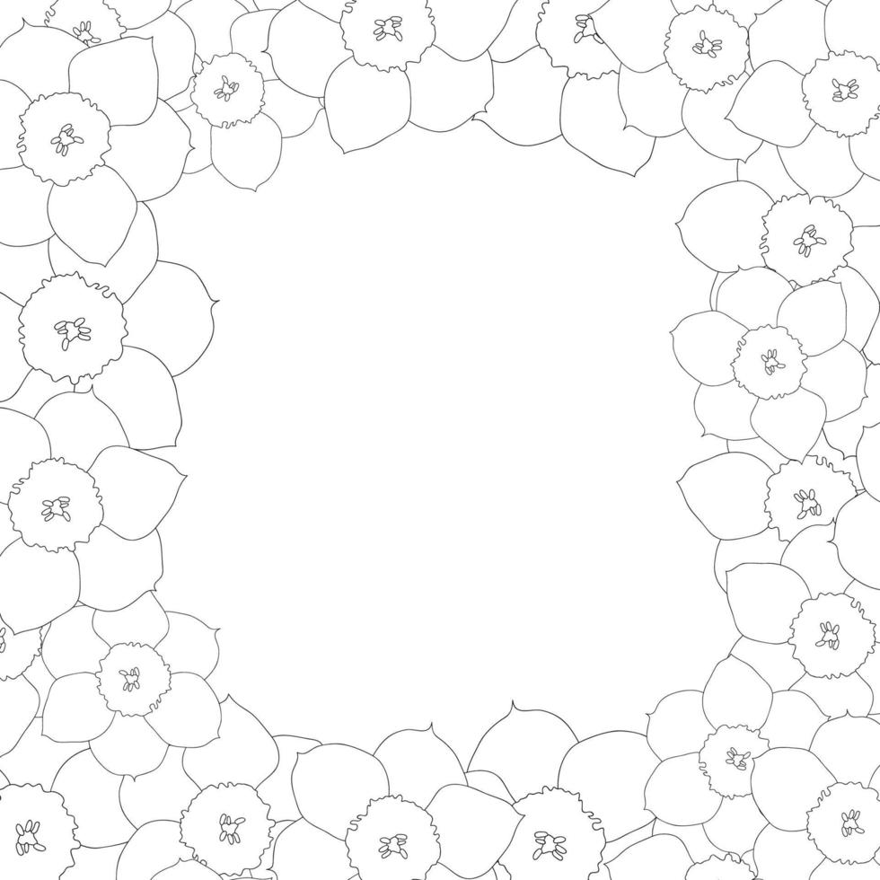 narciso - contorno de flor de narciso border2 vector