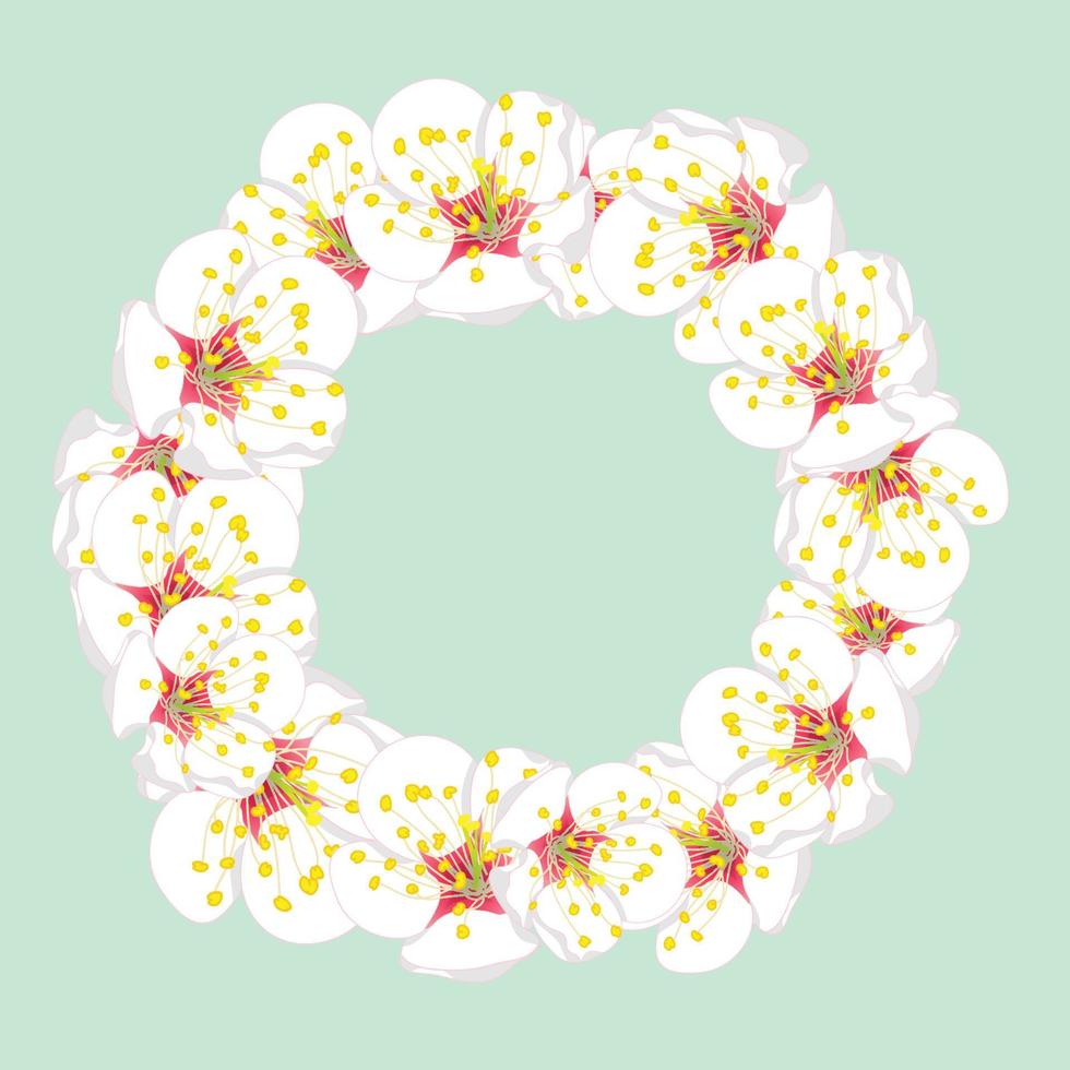 White Plum Blossom Flower Wreath on Green Mint2 vector