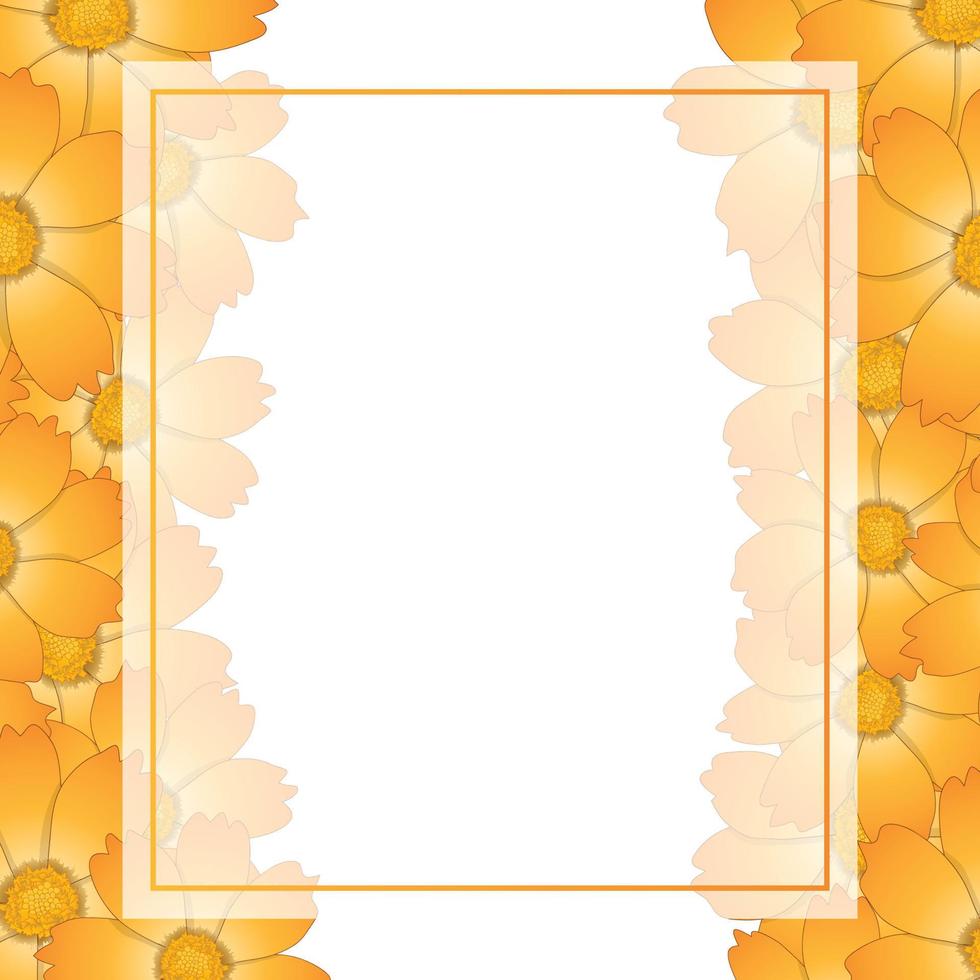 borde de tarjeta de banner de flor de cosmos amarillo naranja vector