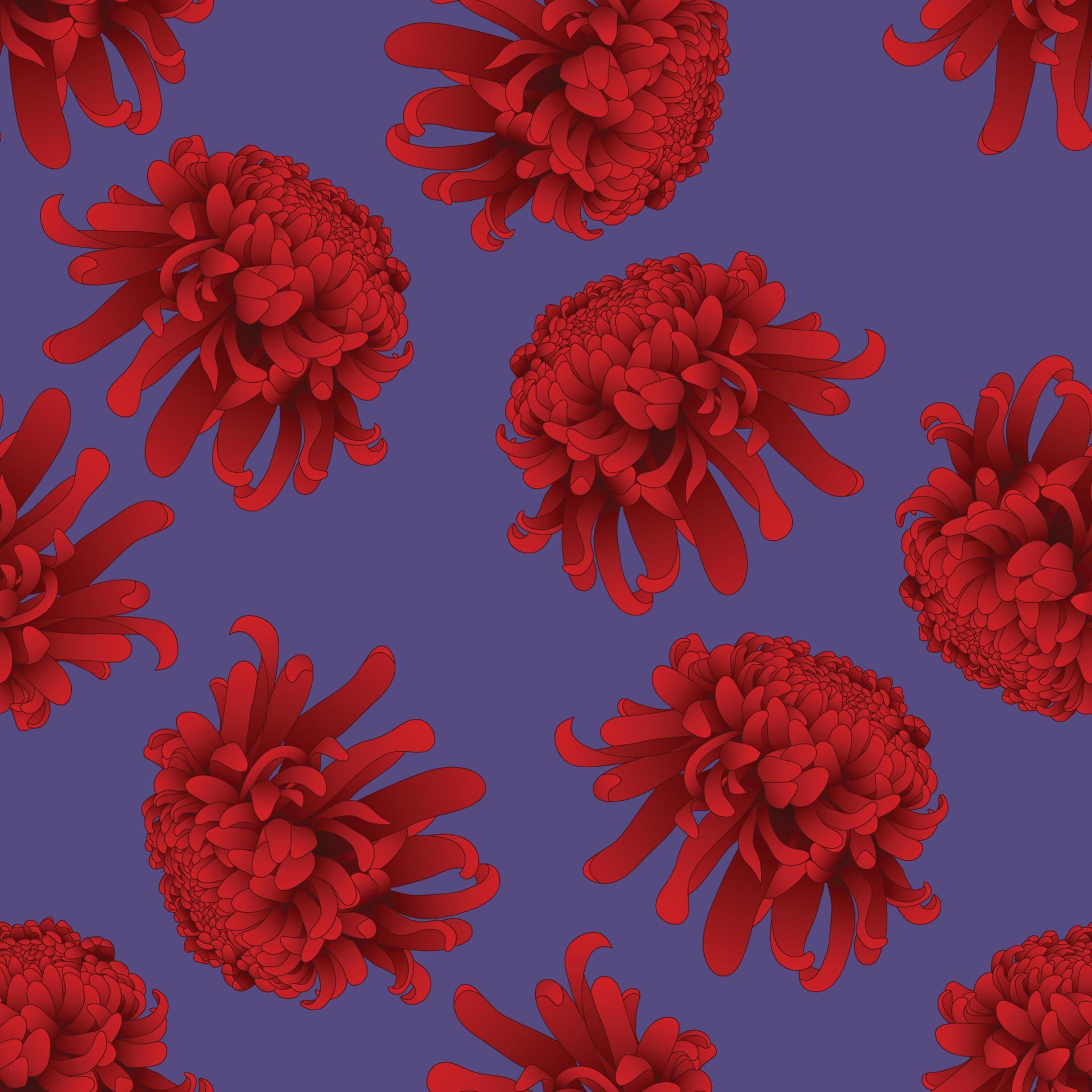 Red Chrysanthemum Flower on Purple Background. 5121972 Vector Art at