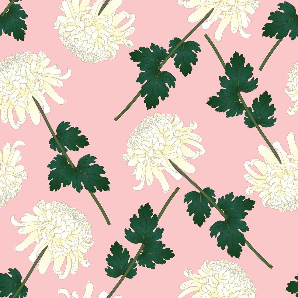 White Chrysanthemum Flower on Pink Background vector