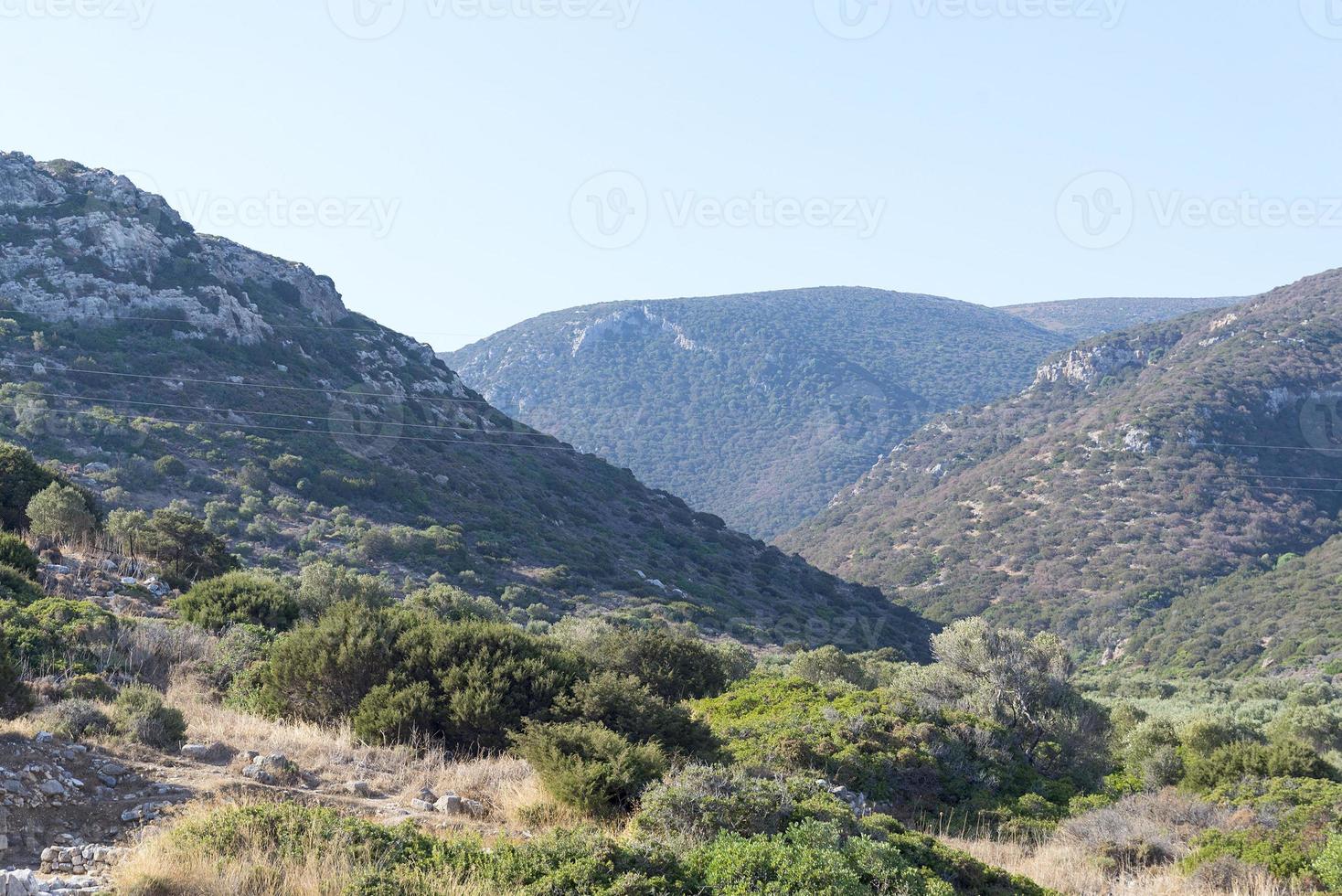 colinas con arbustos en un día soleado. foto