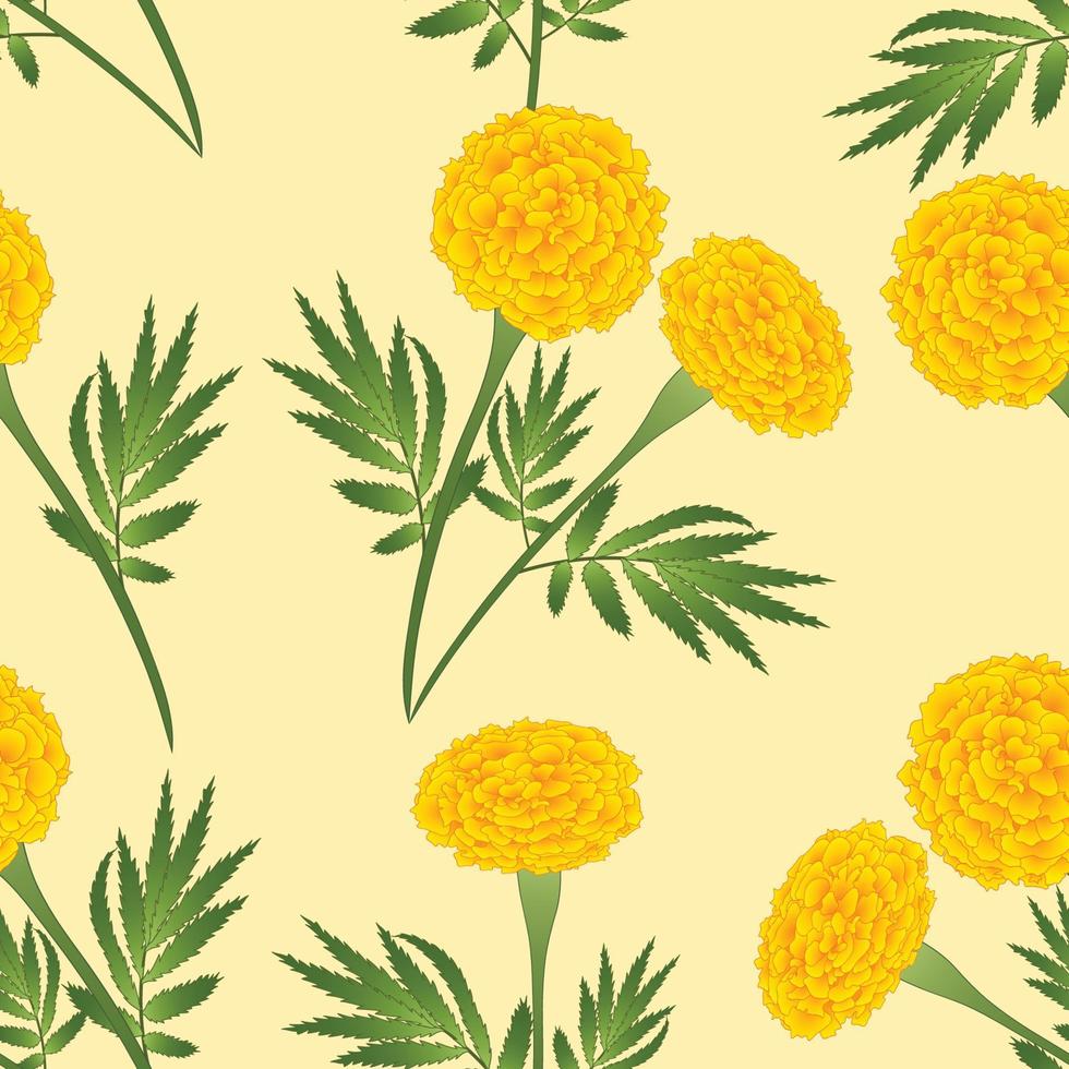 Yellow Marigold on Ivory Beige Background. Vector Illustration