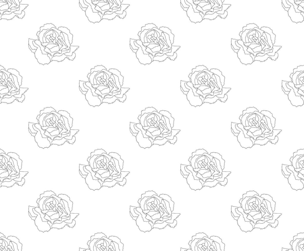 Carnation Seamless on White Background vector